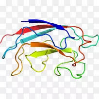 线点生物剪贴画线-空若网 线点生物剪贴画线-空若网