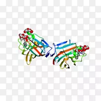 珠宝首饰-空若网 珠宝首饰-空若网
