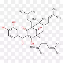 ֱ�ߵ����-������