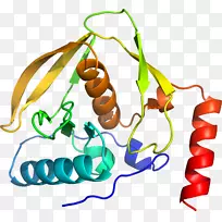 蔬菜有机体线鞋夹艺术-蔬菜-空若网 蔬菜有机体线鞋夹艺术-蔬菜-空若网