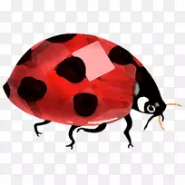 �׳�Ů�������-�׳�-������