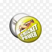 À¥³æ±êǩʳ³æ³¬¼¶È䳿×ÊÔ´ó¬ó°-¿ÕÈôÍø À¥³æ±êǩʳ³æ³¬¼¶È䳿×ÊÔ´ó¬ó°-¿ÕÈôÍø