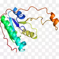 线点生物剪贴画线-空若网 线点生物剪贴画线-空若网
