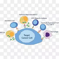 �����������ƿ�������ϸ���鵼��ϸ�����Կ�ͨ��ϸ��-������