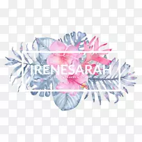 花卉设计花瓣字体-花冠-空若网 花卉设计花瓣字体-花冠-空若网