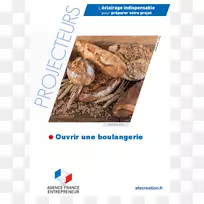 法国企业家b ckerei cafékühn市场研究公司-空若网 法国企业家b ckerei cafékühn市场研究公司-空若网