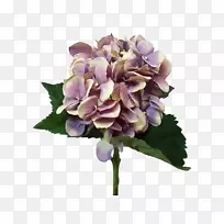 绣球切花花束人工花卉-空若网 绣球切花花束人工花卉-空若网