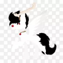 羽喙尾羽-空若网 羽喙尾羽-空若网