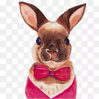 Ë®²Ê»²åͼ.ÍÃ×Ó²åͼ-¿ÕÈôÍø Ë®²Ê»²åͼ.ÍÃ×Ó²åͼ-¿ÕÈôÍø