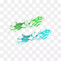 标志字体设计-空若网 标志字体设计-空若网