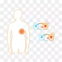 肩夹艺术-电脑-空若网 肩夹艺术-电脑-空若网