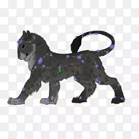 猫狗犬科动物-猫-空若网 猫狗犬科动物-猫-空若网