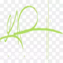 叶绿草植物茎叶-空若网 叶绿草植物茎叶-空若网