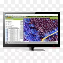 lcd����ɭ������������ɭ�ֹ���.��ͼ����-������