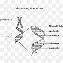 ��ָ��ͼ�ļ�/m/02csf-��ϸ����ϸ��Ϣ-������