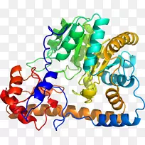 生物线动物剪贴画线-空若网 生物线动物剪贴画线-空若网