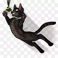 猫爪尾-埃及毛-空若网 猫爪尾-埃及毛-空若网