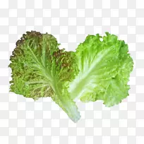 ��Ҷݫ�Ĵ���-�߲�Ҷ-������