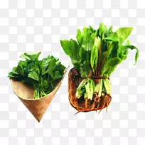 沙地春绿草本食品.季节性蔬菜-空若网 沙地春绿草本食品.季节性蔬菜-空若网