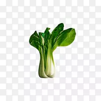 Êß²ËʳƷÄÉÅÁ°×²Ë³ÔÐÂÏÊÊß²Ë-¿ÕÈôÍø Êß²ËʳƷÄÉÅÁ°×²Ë³ÔÐÂÏÊÊß²Ë-¿ÕÈôÍø