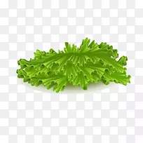 汉堡包冰山莴苣蔬菜彩绘蔬菜-空若网 汉堡包冰山莴苣蔬菜彩绘蔬菜-空若网