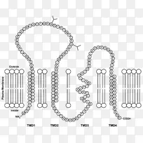项链材料链体珠宝项链-空若网 项链材料链体珠宝项链-空若网