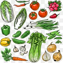 有机食品葫芦插图.装饰有机蔬菜-空若网 有机食品葫芦插图.装饰有机蔬菜-空若网