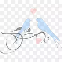 ������������������֦-������