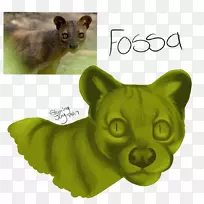 猫科动物鼻子野生动物-猫-空若网 猫科动物鼻子野生动物-猫-空若网