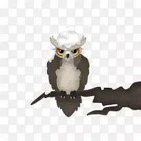 猫头鹰嘴-愤怒的猫头鹰-空若网 猫头鹰嘴-愤怒的猫头鹰-空若网
