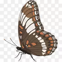 �������������-����-������