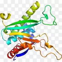 植物茎线动物剪贴画线-空若网 植物茎线动物剪贴画线-空若网