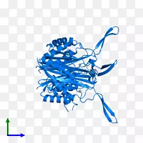 有机体线剪贴画线-空若网 有机体线剪贴画线-空若网