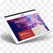 品牌数字营销业务展示广告营销-空若网 品牌数字营销业务展示广告营销-空若网