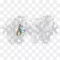 艺术桌面壁纸体珠宝首饰-空若网 艺术桌面壁纸体珠宝首饰-空若网