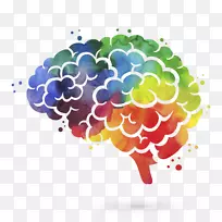 心理科学教育心理学研究所学习心理学家-大脑数字-空若网 心理科学教育心理学研究所学习心理学家-大脑数字-空若网