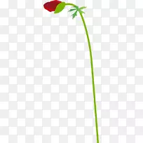 绿草植物茎叶-空若网 绿草植物茎叶-空若网