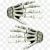 指甲手套手骨骼拇指钉-空若网 指甲手套手骨骼拇指钉-空若网