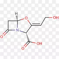 ֱ�ߵ����-������