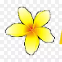 昆虫切花象征花瓣-昆虫-空若网 昆虫切花象征花瓣-昆虫-空若网