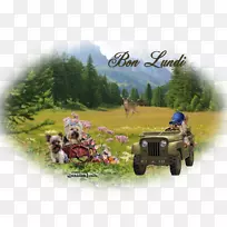 ��������ð�յ�Ӱ-Լ��-������