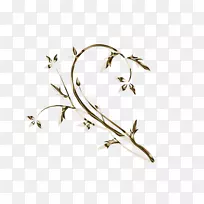 Naver博客植物茎-Piza-空若网 Naver博客植物茎-Piza-空若网