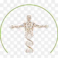 人类基因组细胞科学人类智人-科学-空若网 人类基因组细胞科学人类智人-科学-空若网