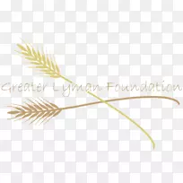 ����Ʒ��������-������