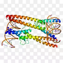 艺术身体珠宝有机体剪贴艺术珠宝首饰-空若网 艺术身体珠宝有机体剪贴艺术珠宝首饰-空若网