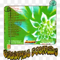 金星在毛皮草留声机记录字体-空若网 金星在毛皮草留声机记录字体-空若网