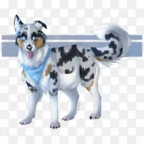 犬种澳大利亚牧羊犬边境牧羊犬画边牧羊犬澳大利亚牧羊犬-空若网 犬种澳大利亚牧羊犬边境牧羊犬画边牧羊犬澳大利亚牧羊犬-空若网