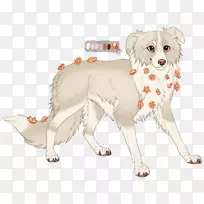 犬种稀有品种(狗)小狗伴犬-边境牧羊犬澳大利亚牧羊犬-空若网 犬种稀有品种(狗)小狗伴犬-边境牧羊犬澳大利亚牧羊犬-空若网