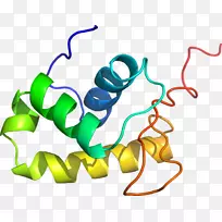 �����鱦������.�鱦-������