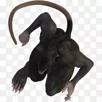 代币,毛皮,鼻子,花边,棋盘-盛宴您的眼睛公司-空若网 代币,毛皮,鼻子,花边,棋盘-盛宴您的眼睛公司-空若网